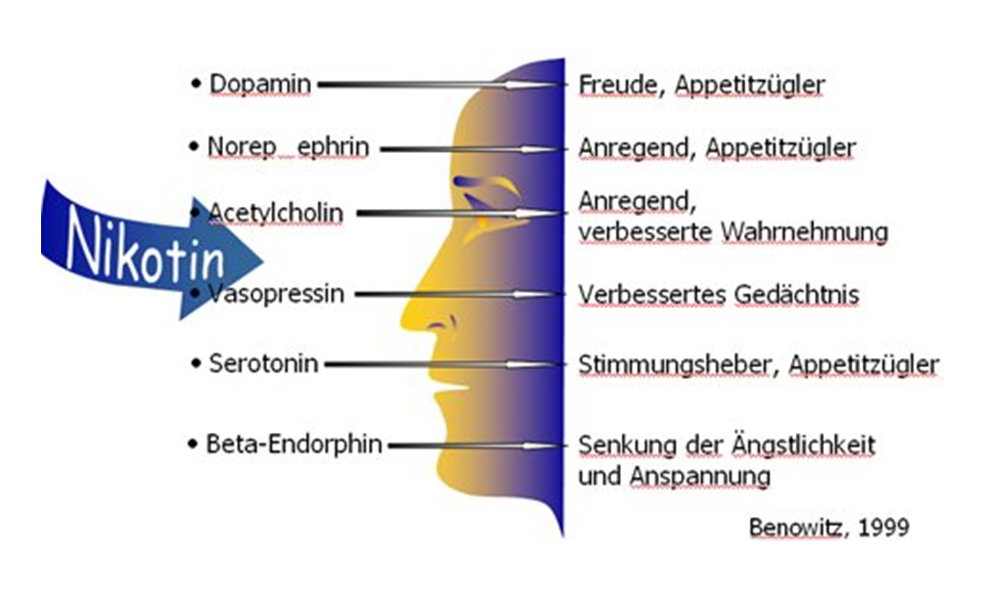 Arbeitsgemeinschaft Tabakprävention Schweiz - Nikotin